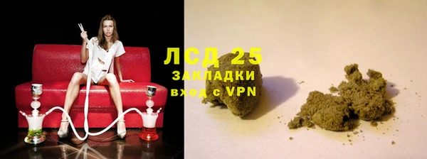 стаф Алзамай