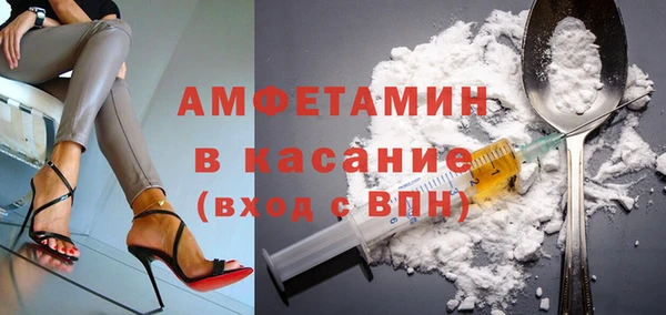стаф Алзамай