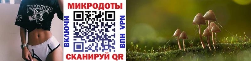 купить наркотик  мега онион  Псилоцибиновые грибы GOLDEN TEACHER  Брянск 